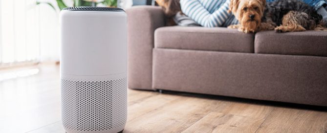 Health benefits of a humidifier help female homeowner relax with dog.