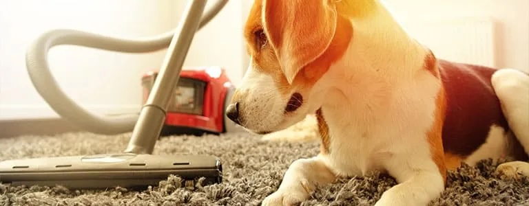 Blog_RC-AirPurifiers Blog RC AirPurifiers | River City Heating & Air Conditioning